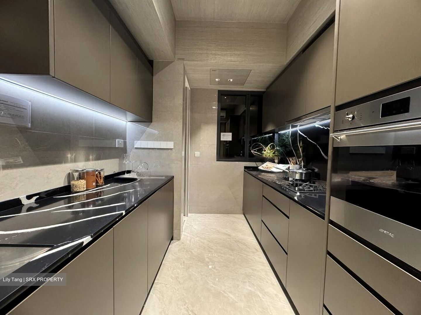 Marina Gardens Lane (D1), Apartment #463605811